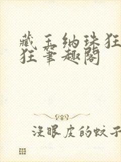 藏玉纳珠狂上加狂笔趣阁封面