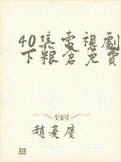 40集电视剧天下粮仓免费观看