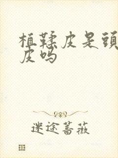 植鞣皮是头层牛皮吗