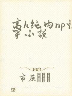 高h纯肉np快穿小说