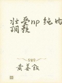 壮受np 纯肉调教