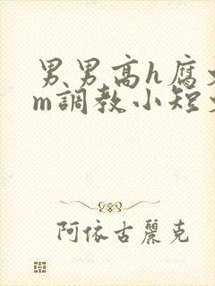 男男高h腐文sm调教小短文