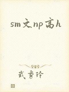 sm文np高h