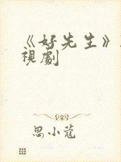 《好先生》2电视剧