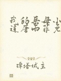 我的岳母小说林道唐雨菲免费阅读