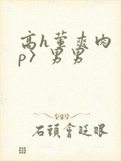 高h荤爽肉〈np〉男男