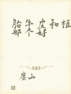 胎牛皮和植鞣皮哪个好封面