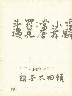 斗罗:当小霍娘遇见唐舞麟