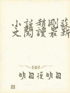 小说赵刚苏柔全文阅读最新章节封面