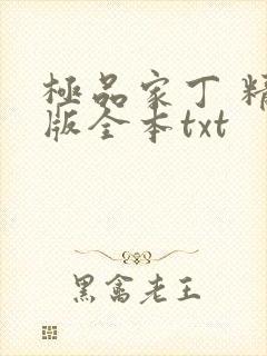 极品家丁 精校版全本txt