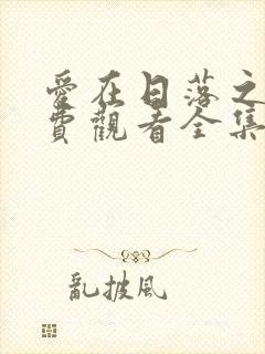 爱在日落之前免费观看全集