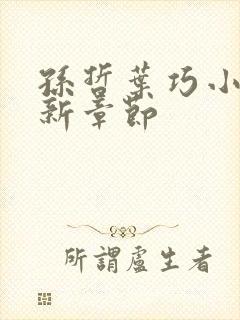 孙哲叶巧小说最新章节