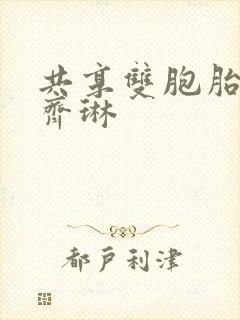 共享双胞胎齐娜齐琳封面