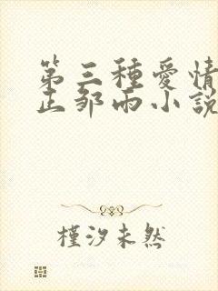 第三种爱情林启正邹雨小说