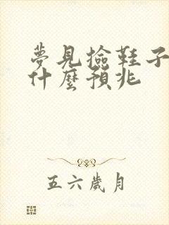 梦见捡鞋子穿是什么预兆封面