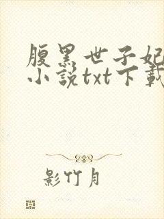 腹黑世子妃日常小说txt下载封面