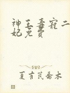 神王毒宠二嫁王妃免费