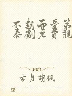 不期而爱第二季泰剧免费观看封面