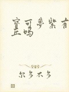 宝可梦紫有皮卡丘吗