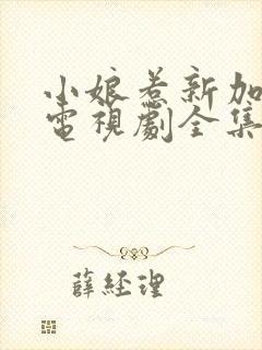 小娘惹新加坡版电视剧全集