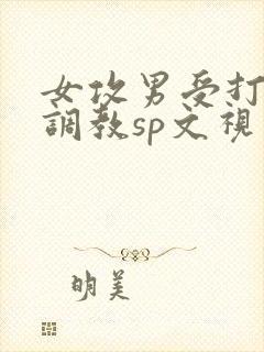 女攻男受打屁股调教sp文视频