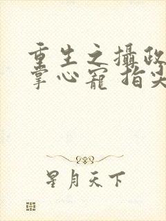 重生之摄政王的掌心宠 指尖方寸封面