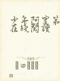 少年阿宾第二部在线阅读