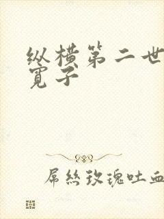 纵横第二世界 宽子