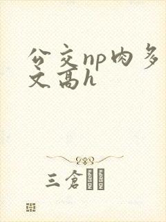 公交np肉多荤文高h