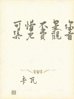 可惜不是你24集免费观看