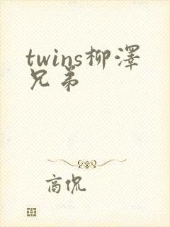 twins柳泽兄弟