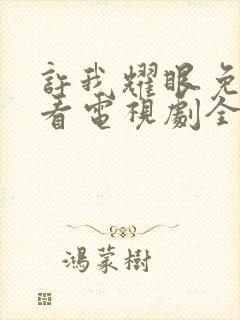 许我耀眼免费观看电视剧全集