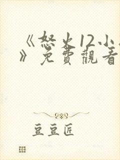 《怒火12小时》免费观看 完整