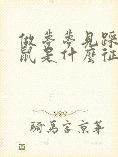 做梦梦见踩死老鼠是什么征兆封面