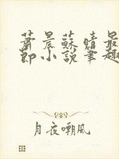 萧晨苏晴最新章节小说笔趣阁封面