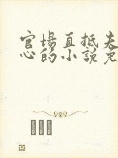 官场直抵夫人花心的小说免费阅读全