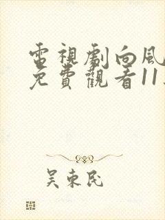 电视剧向风而行免费观看11集