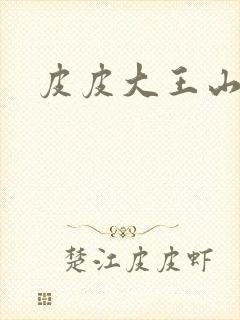 皮皮大王山海经