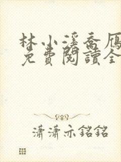 林小溪乔雁小说免费阅读全文无弹窗封面