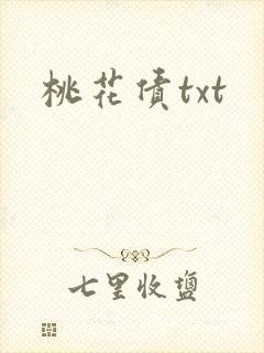 桃花债txt