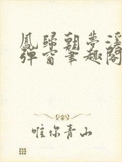 凤归朝梦溪石无弹窗笔趣阁封面