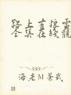 路上有狼电视剧全集在线观看封面