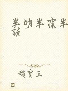 半明半寐半夏小说