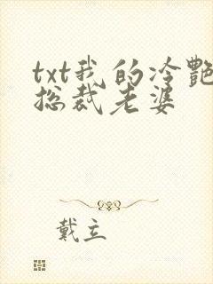 txt我的冷艳总裁老婆