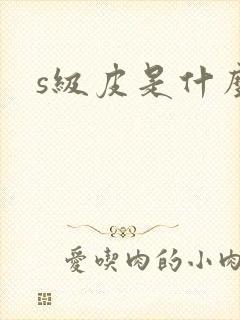 s级皮是什么皮