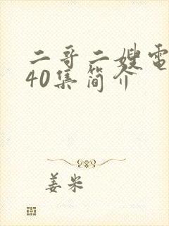 二哥二嫂电视剧40集简介封面