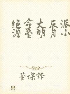 绝命大反派叶玄澹台明月小说