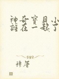 神奇宝贝小智和谁在一起了