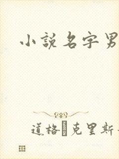 小说名字男生封面