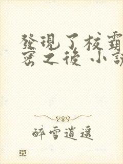 发现了校霸的秘密之后 小说